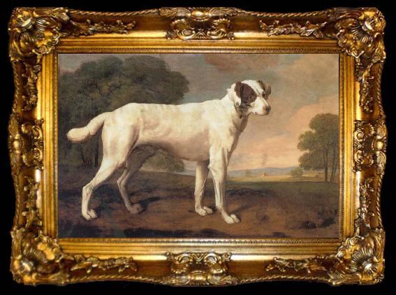 framed  George Stubbs Dog, ta009-2